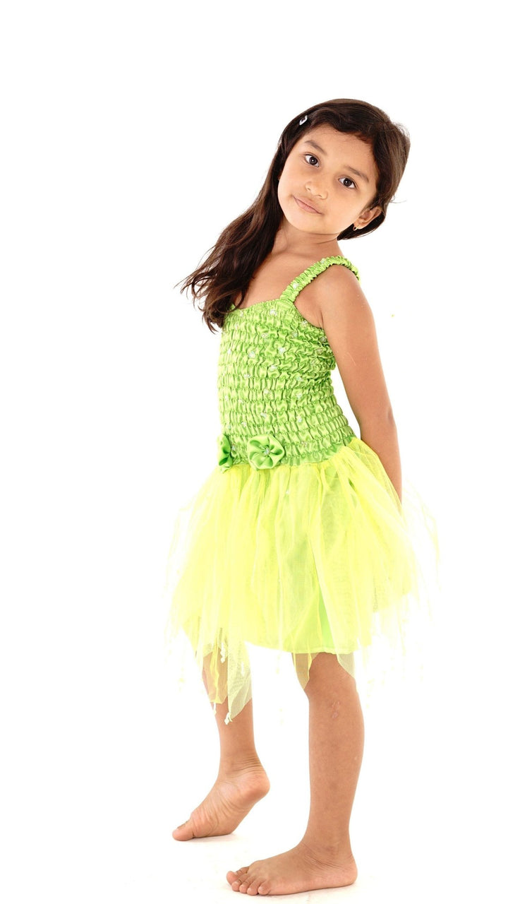 Sparkly Fairy Costume Princess Dress with Wings - Love ShuShi